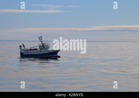 Fischereifahrzeug" Ocean Harvest' bei ruhigem Wetter westlich der Shetland Inseln, April 2015 Schleppnetz. Eigentum veröffentlicht. Stockfoto