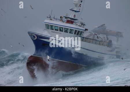 Fischereifahrzeug" Harvester" in einem Sturm an der Nordsee kämpfen, Februar 2016. Eigentum veröffentlicht. Stockfoto
