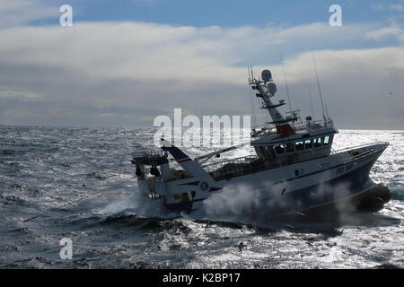 Fischereifahrzeug" Ocean Harvest' Schleppnetzfischerei auf der Nordsee. Juli 2015. Propery freigegeben. Stockfoto