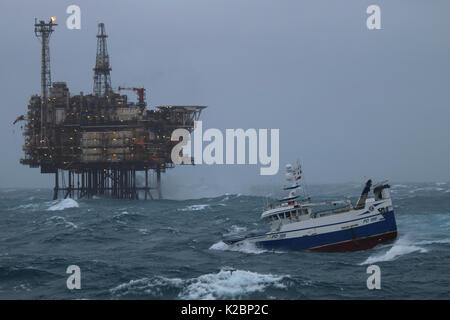 Fischereifahrzeug" Ocean Harvest" in der Nähe von 40er Delta Plattform, Nordsee, Januar 2016. Stockfoto