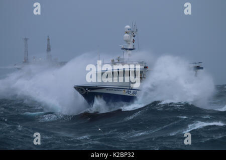 Fischereifahrzeug" Ocean Harvest' in schwerem Wetter an der Nordsee, Januar 2016. Eigentum veröffentlicht. Stockfoto