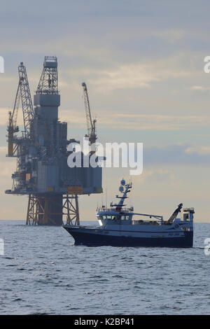 Fischereifahrzeug" Ocean Harvest' Schleppnetzfangs in unmittelbarer Nähe von Oseberg Sor Plattform, Nordsee, Mai 2015. Stockfoto