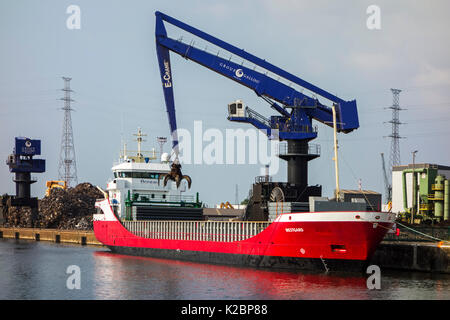 E-Kran, Schrott Kranverladung recycelte Metall auf Frachtschiff bei Van Heyghen Recycling exportieren Terminal, der Hafen von Gent, Flandern, Belgien, Europa. Juli 2013. Stockfoto
