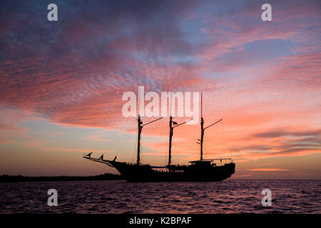 Luxus Liveaboard Paradise Dancer bei Sonnenuntergang, Nord Sulawesi, Indonesien, im Pazifischen Ozean. Mai 2008. Stockfoto