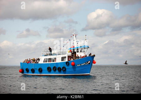 Passagierschiff zwischen der Farne Islands und Nevsehir, Northumberland, England, Großbritannien reisen. Juli 2009. Alle nicht-redaktionelle Verwendungen muß einzeln beendet werden. Stockfoto