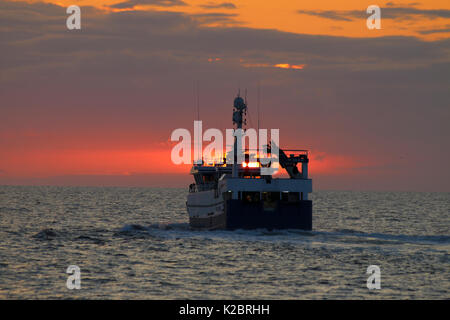 Fischereifahrzeug" Ocean Harvest' Position für zu Hause, als die Sonne über der Nordsee, UK, August 2014. Eigentum veröffentlicht. Alle nicht-redaktionelle Verwendungen muß einzeln beendet werden. Stockfoto