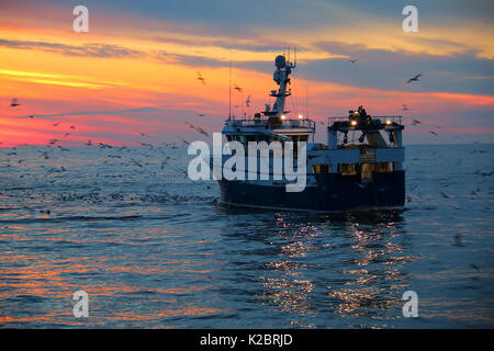Fischereifahrzeug" Harvester" schleppen Fanggeräte wie Sonne über der Nordsee. Juli 2014. Eigentum veröffentlicht. Alle nicht-redaktionelle Verwendungen muß einzeln beendet werden. Stockfoto