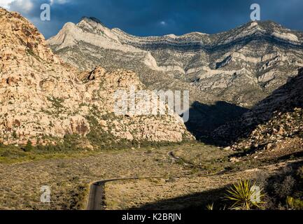 Schluchten, Grate und Gipfel bilden die La Madre Mountain Wilderness innerhalb der Red Rock Canyon National Conservation Area 29. September 2016 in der Nähe von Las Vegas, Nevada. Stockfoto