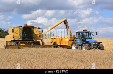 New Holland Mähdrescher und Schlepper Stockfoto