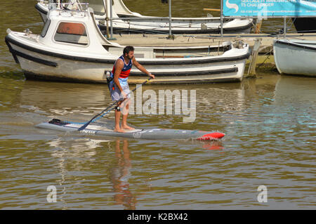 Mann Paddle Boarding auf der Themse, in Putney, London Stockfoto