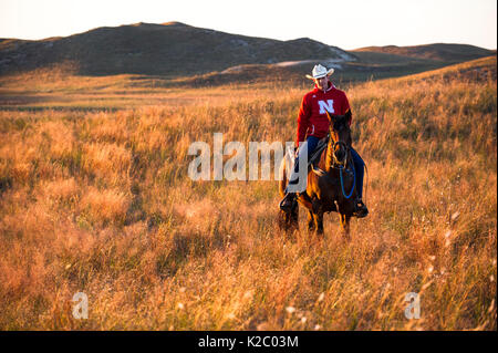 Aaron Preis reiten sein Pferd "Beau" über seine Ranch, Gracie Creek, Sandhills, Nebraska. Garfield County, Nebraska, USA. Oktober 2014. Stockfoto