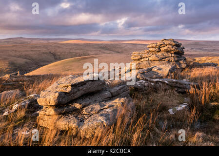 Blick auf das Moor von großen Mis Tor, Nationalpark Dartmoor, Devon, Großbritannien. März 2015. Stockfoto