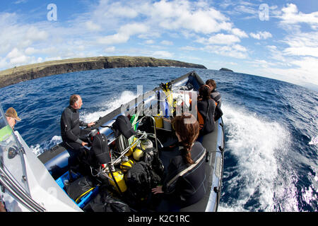 Gruppe der Taucher auf einem Zodiac RIB, Santa Maria Kleine lighthous an formigas Islet, Azoren, Portugal, Atlantik, Oktober 2012. Stockfoto