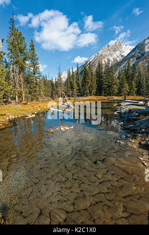 Berglandschaft und Nadelwald, schumak Fluss, Sayan Berge. Baikalsee, Irkutsk, Oktober 2010. Stockfoto