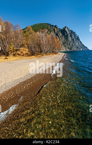 Bäume am Baikalsee Ufer im Herbst, Sibirien, Russland, Oktober 2011. Stockfoto