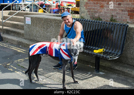 Greyhound mit Union Jack Flag Mann auf Bank mit Kappe streichelenden Hund sitzen Stockfoto