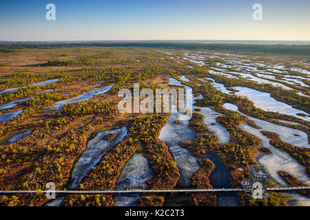 Luftaufnahme der Feder über Mannikjarve bog Wanderweg der Endla Naturschutzgebiet, Jogevamaa County, Estland, März 2015. Mit drone Kamera genommen. Stockfoto