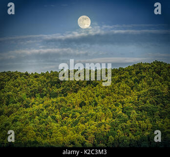 Vollmond über Sommer Berg - Mond bei Sonnenuntergang über kleine Bergkette Blowing Rock Stockfoto