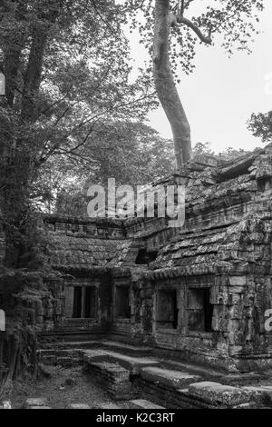 Teil des Ostens vor dem Tempel von Ta Prohm, Angkor, Siem Reap, Kambodscha: Schwarz und Weiss Stockfoto