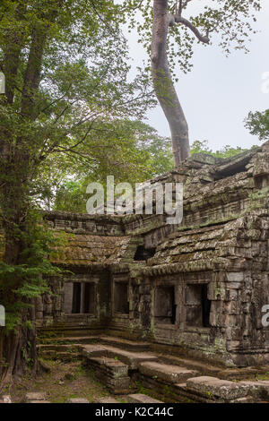 Teil des Ostens vor dem Tempel von Ta Prohm, Angkor, Siem Reap, Kambodscha Stockfoto