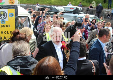 Mitglied der Labour Party in der Labour Party Konferenz in Liverpool Stockfoto