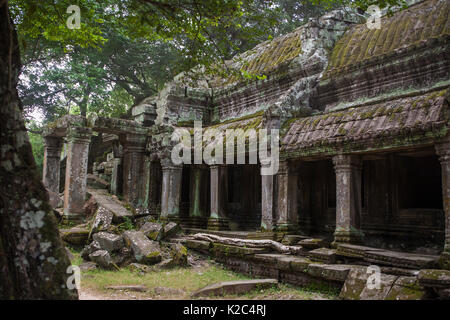 Ruiniert Galerie, äußeren südlichen Innenhof, Ta Prohm, Angkor, Siem Reap, Kambodscha Stockfoto