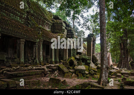 Ruiniert Galerie, äußeren südlichen Innenhof, Ta Prohm, Angkor, Siem Reap, Kambodscha Stockfoto