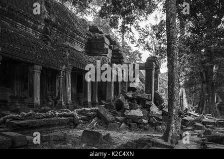 Ruiniert Galerie, äußeren südlichen Innenhof, Ta Prohm, Angkor, Siem Reap, Kambodscha: Schwarz und Weiss Stockfoto