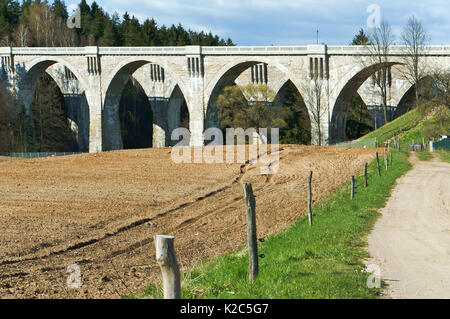 Beton-Viadukt in die Wälder Widerlager der Brücke Schiene Stockfoto