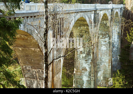 Beton-Viadukt in die Wälder Widerlager der Brücke Schiene Stockfoto