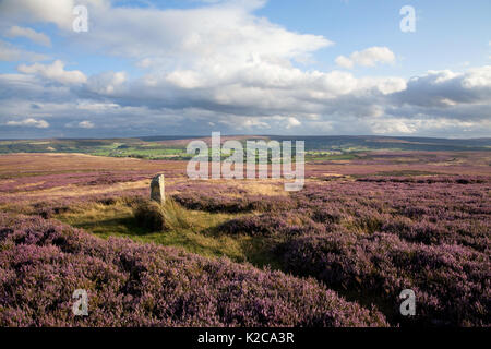 Siss Kreuz auf niedrigen Danby Moor, in der North York Moors Stockfoto