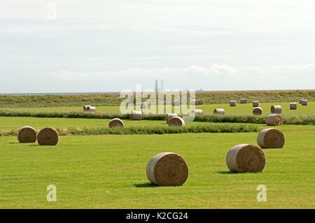 Runde Heuballen, Shingle Street, Suffolk, England. Stockfoto