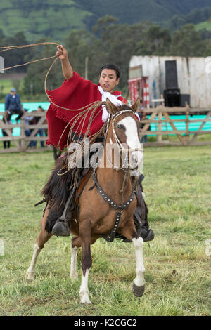 Juni 3, 2017 Machachi, Ecuador: junge Cowboy auf Pferd zurück in den traditionellen Verschleiß in der Andenregion Umgang mit einem Lasso Stockfoto