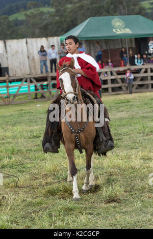 Juni 3, 2017 Machachi, Ecuador: junge Cowboy auf Pferd zurück in den traditionellen Verschleiß in der Andenregion Stockfoto