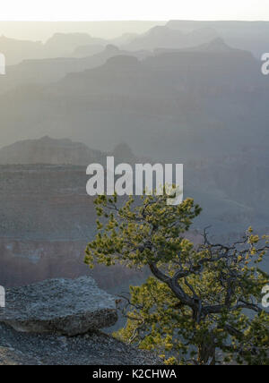 Ein Blick auf die Schichten der Nebel im Grand Canyon Stockfoto