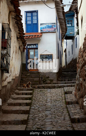 Engen steilen gepflasterten Straße Calle Ccoricalle, Cusco, Peru, Südamerika Stockfoto