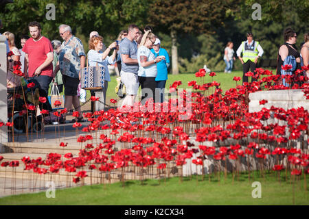 Mohnblumen Wave kunst Installation bei Plymouth Marine Memorial. Von Paul Cummins Artist und Tom Piper Designer. Hoe, Plymouth, Devon, England Großbritannien GB Stockfoto