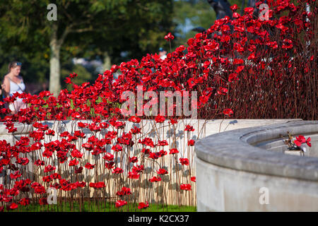 Mohnblumen Wave kunst Installation bei Plymouth Marine Memorial. Von Paul Cummins Artist und Tom Piper Designer. Hoe, Plymouth, Devon, England Großbritannien GB Stockfoto