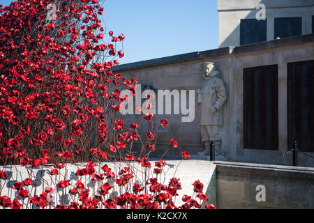 Mohnblumen Wave kunst Installation bei Plymouth Marine Memorial. Von Paul Cummins Artist und Tom Piper Designer. Hoe, Plymouth, Devon, England Großbritannien GB Stockfoto