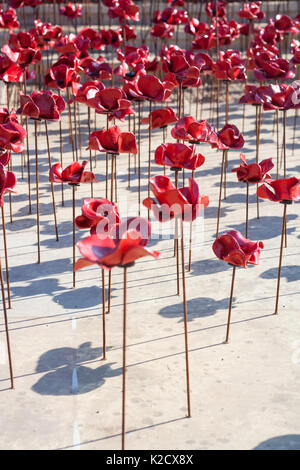 Mohnblumen Wave kunst Installation bei Plymouth Marine Memorial. Von Paul Cummins Artist und Tom Piper Designer. Hoe, Plymouth, Devon, England Großbritannien GB Stockfoto