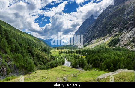 Val Ferret, Aostatal, Italien Stockfoto