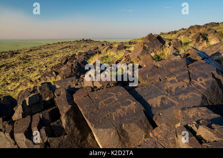 Tier petroglyphen zwischen 5.000-15.000 Jahre alt vor Jahren, Khavtsgait Petroglyph Berg, Wüste Gobi, Govi Gurvan Saikhan Nationalpark, im Süden der Mongolei. Juni 2015. Stockfoto