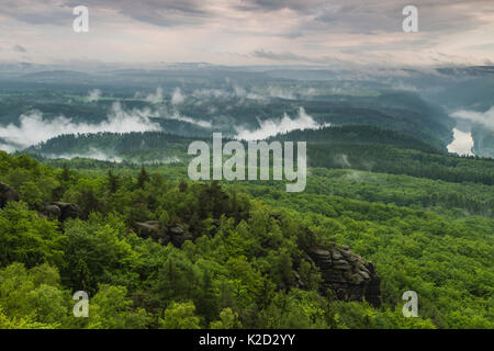 Blick auf die Elbe und Lilienstein aus Kipphorn Viewpoint, Sachsische Schweiz/Nationalpark Sächsische Schweiz, Deutschland, Mai 2010 Stockfoto