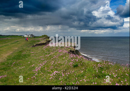 Paare, die in der Entfernung zu Fuß entlang der Küste mit Blick auf das Meer Sparsamkeit (Armeria maritima) in Weybourne, Norfolk, England, UK, Mai. Stockfoto