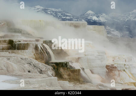 Landschaft der Old Faithful Geyser, Yellowstone, Wyoming, USA, Februar. Stockfoto