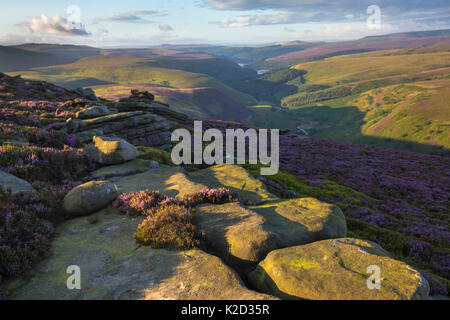 Krähe Steine Kante in Richtung Howden und Derwent Stauseen. Nationalpark Peak District, Derbyshire, UK. August 2015. Stockfoto