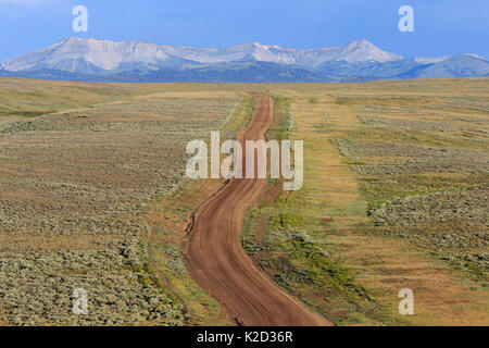 Straße durch den sagebush Steppe im Weidelgras BLM (Bureau von Land Management) in Richtung Wyoming Mountain Range. Sublette County, Wyoming, USA. Juli. Stockfoto