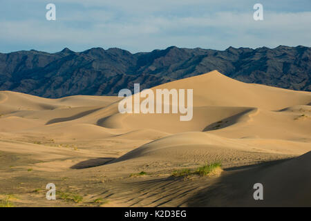 Khongor Sanddünen, Govi Gurvan Saikhan Nationalpark, der Wüste Gobi, im Süden der Mongolei. Juni 2015. Stockfoto