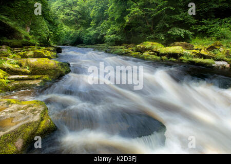 Die Strid, River Wharfe, Verschlusszeit, die Bewegung des Wassers, Bolton Abbey Estate, Wharfedale, North Yorkshire, August 2015 Stockfoto