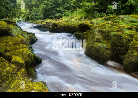 Die Strid, River Wharfe, Verschlusszeit, die Bewegung des Wassers, Bolton Abbey Estate, Wharfedale, North Yorkshire, August 2015 Stockfoto